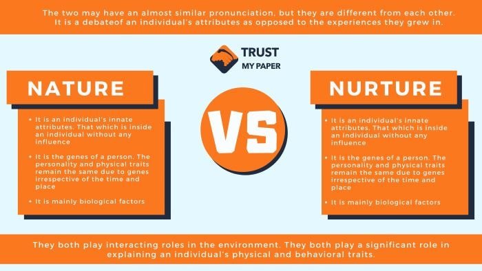 Nature vs Nurture essay infographic