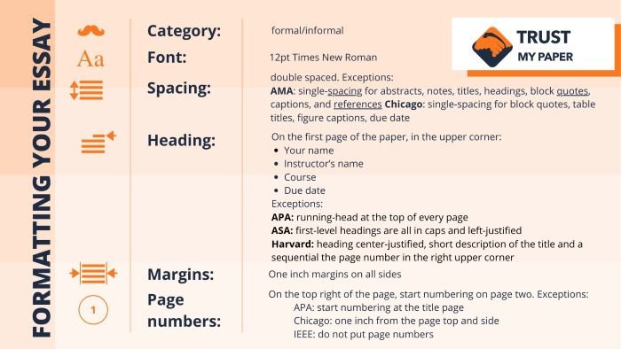 Essay formats infographic